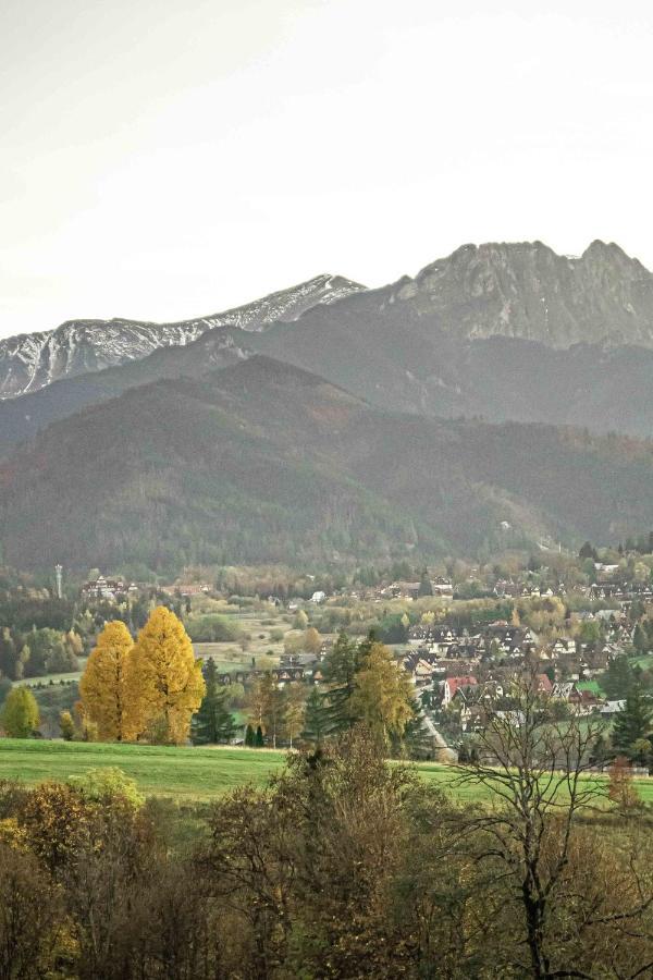 Willa Grg Zakopane Dış mekan fotoğraf